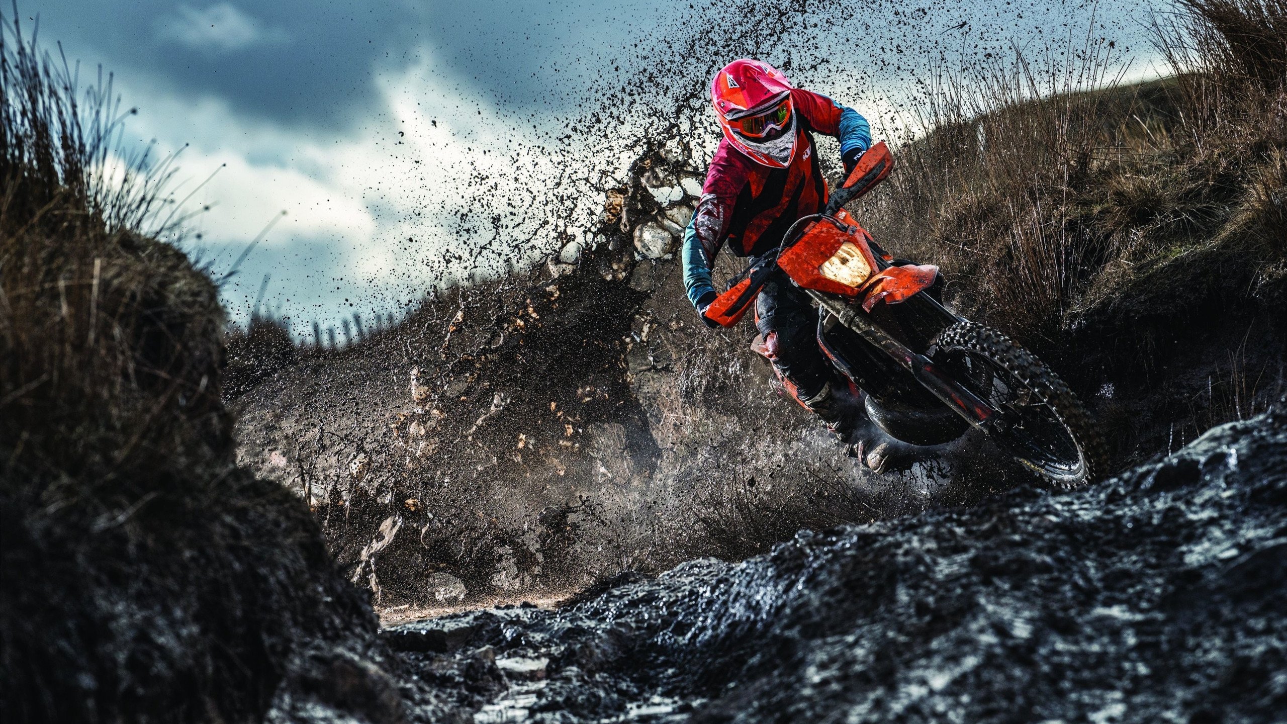 穆勒的寂静咆哮，当北欧战术机器碾过法老诅咒